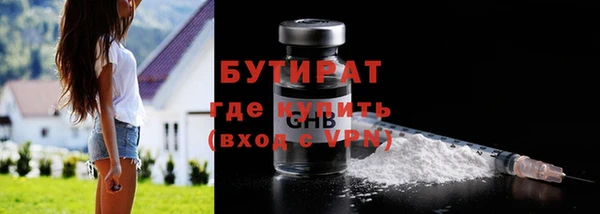 гидра Бердск