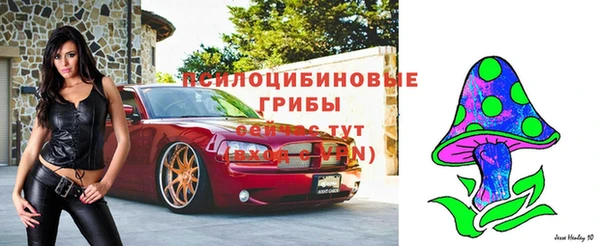 кокс Михайловск
