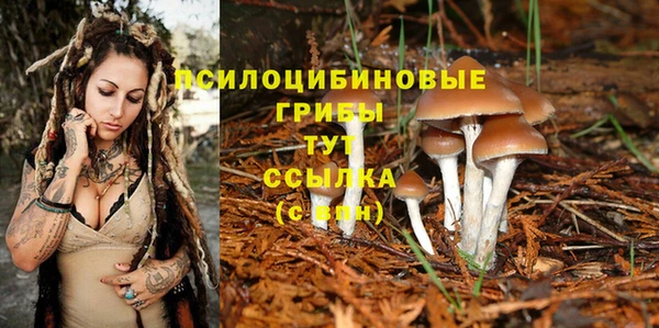 бутират Михайлов
