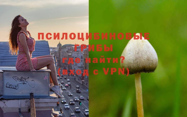 альфа пвп Артём