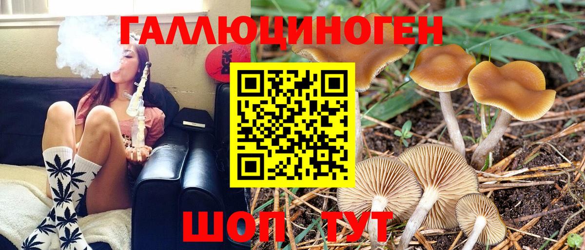 Псилоцибиновые грибы мухоморы Белорецк