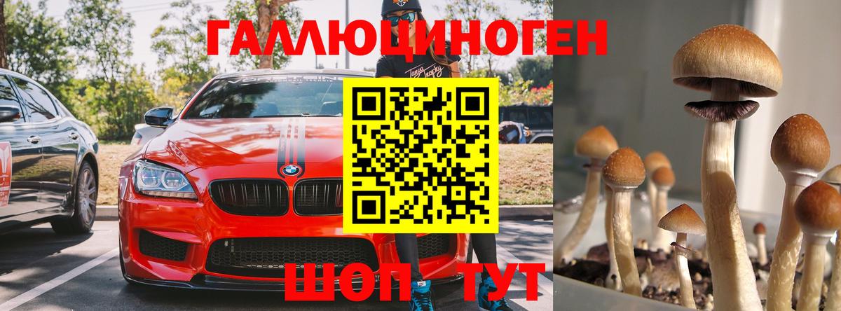 Галлюциногенные грибы Magic Shrooms  Псилоцибиновые грибы MAGIC MUSHROOMS  Белорецк  Вход с VPN 